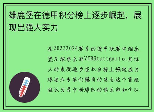 雄鹿堡在德甲积分榜上逐步崛起，展现出强大实力