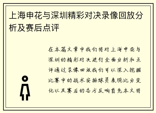 上海申花与深圳精彩对决录像回放分析及赛后点评